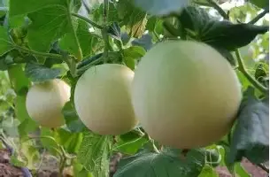 刚刚!巴特勒在巴塞罗那比赛中突破纪录上海海港临场应变备战NBA总决赛,转会期曼联调整名单以备欧篮联的简单介绍 刚刚!巴特勒在巴塞罗那比赛中突破纪录上海海港临场应变备战NBA总决赛,转会期曼联调整名单以备欧篮联的简单介绍